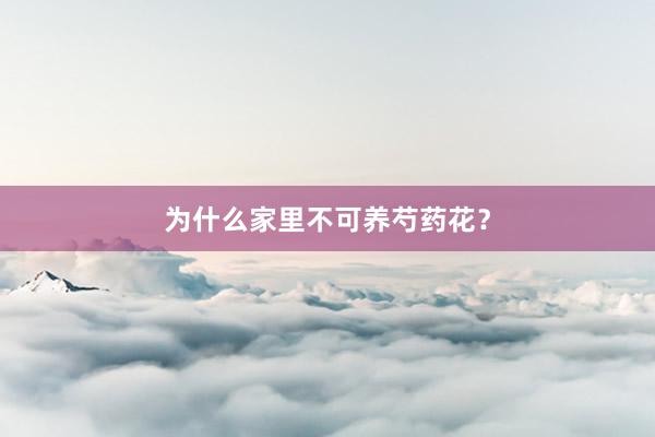 为什么家里不可养芍药花？