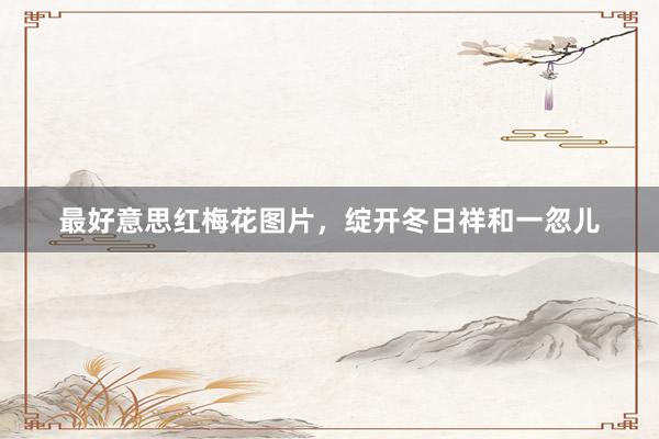 最好意思红梅花图片，绽开冬日祥和一忽儿